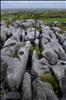 Burren View